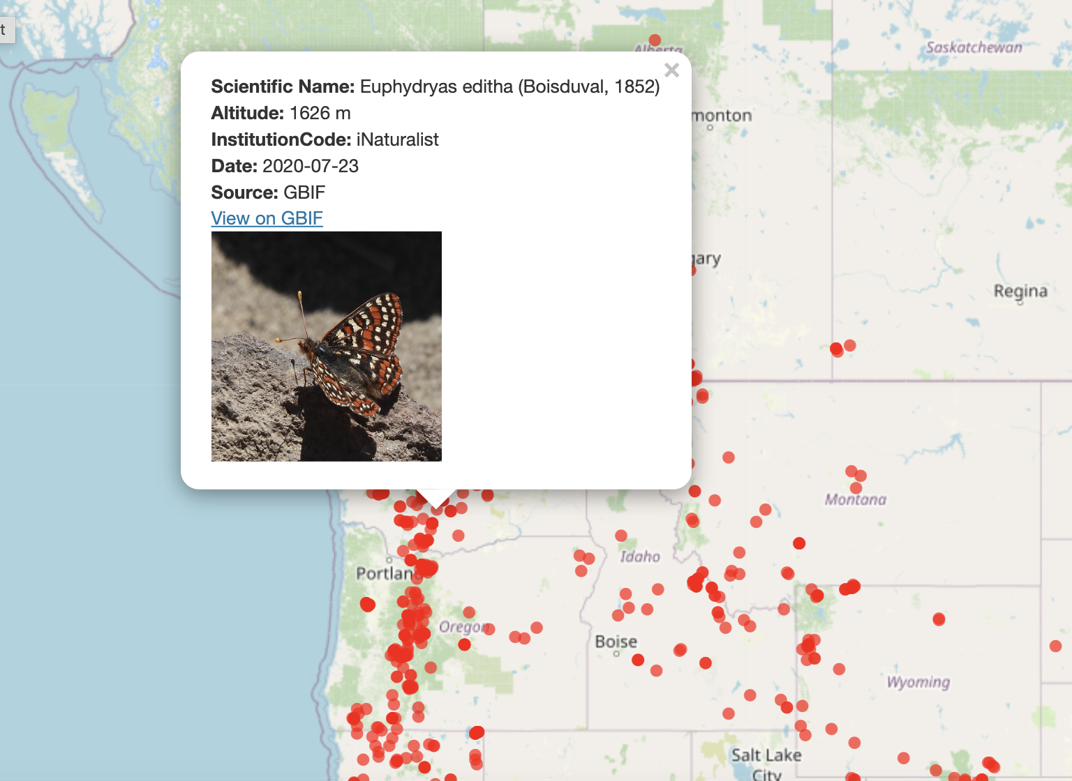 GBIF interactive map