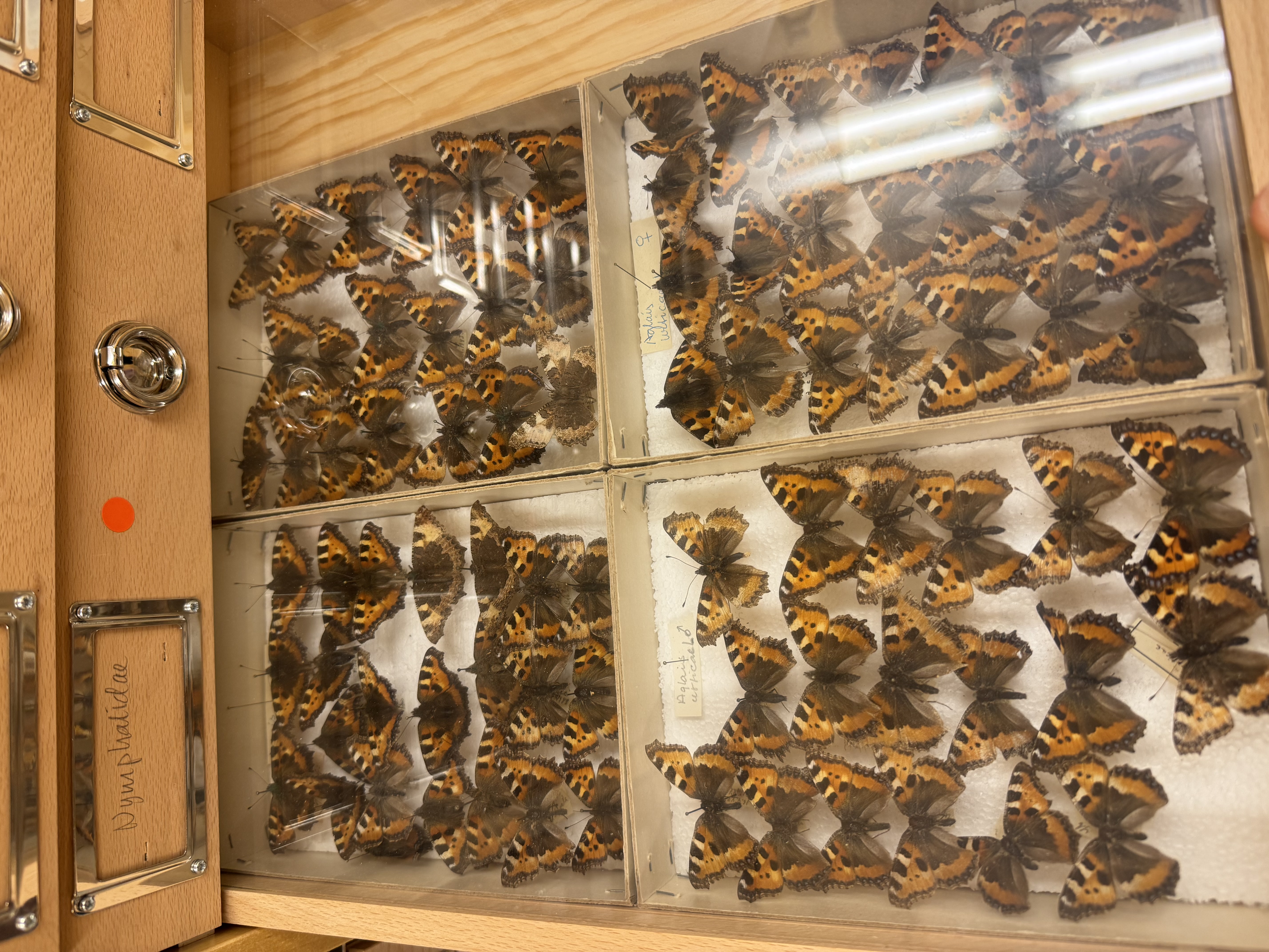 SciLifeLab collabrative SFO funding