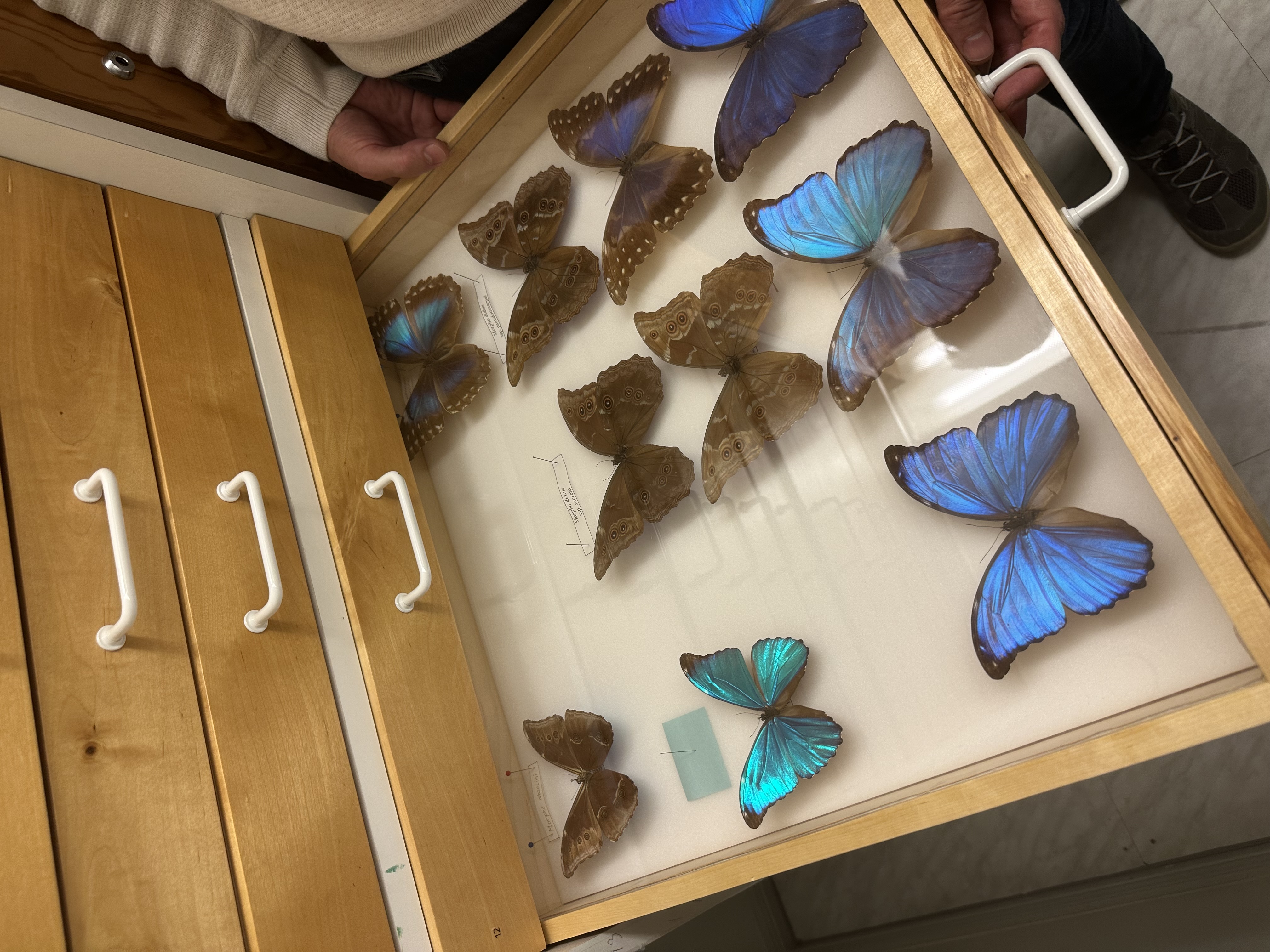 Vinnova Innovation Planning project